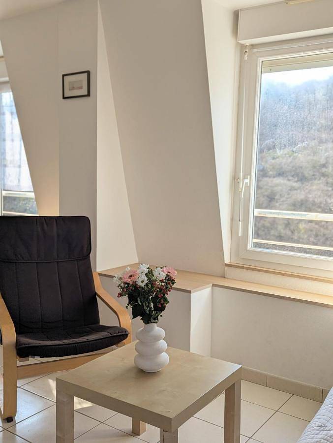 Gîte pour 6 personnes, avec vue dans Plage de Jospinet - 2