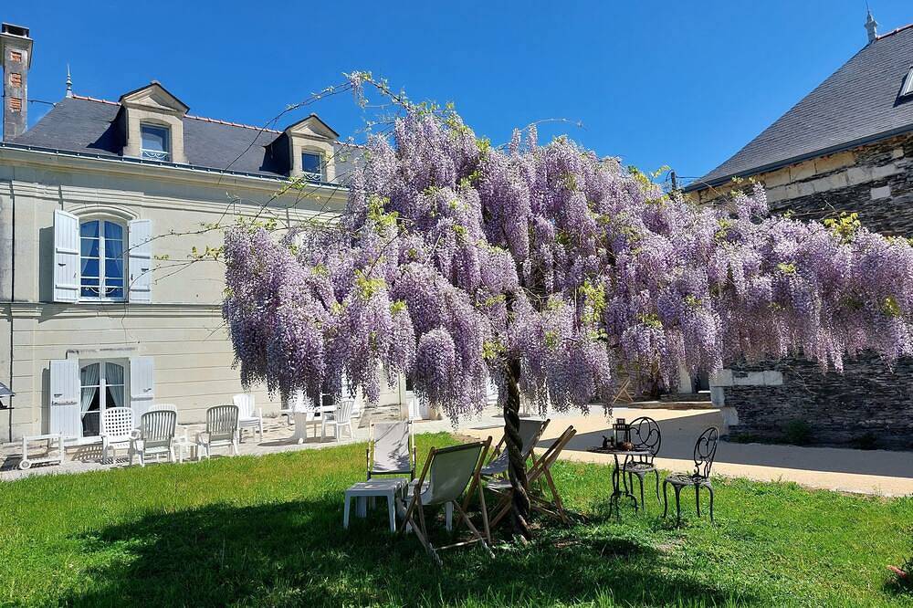Studio cosy in Loire-Authion, Vallée de la Loire
