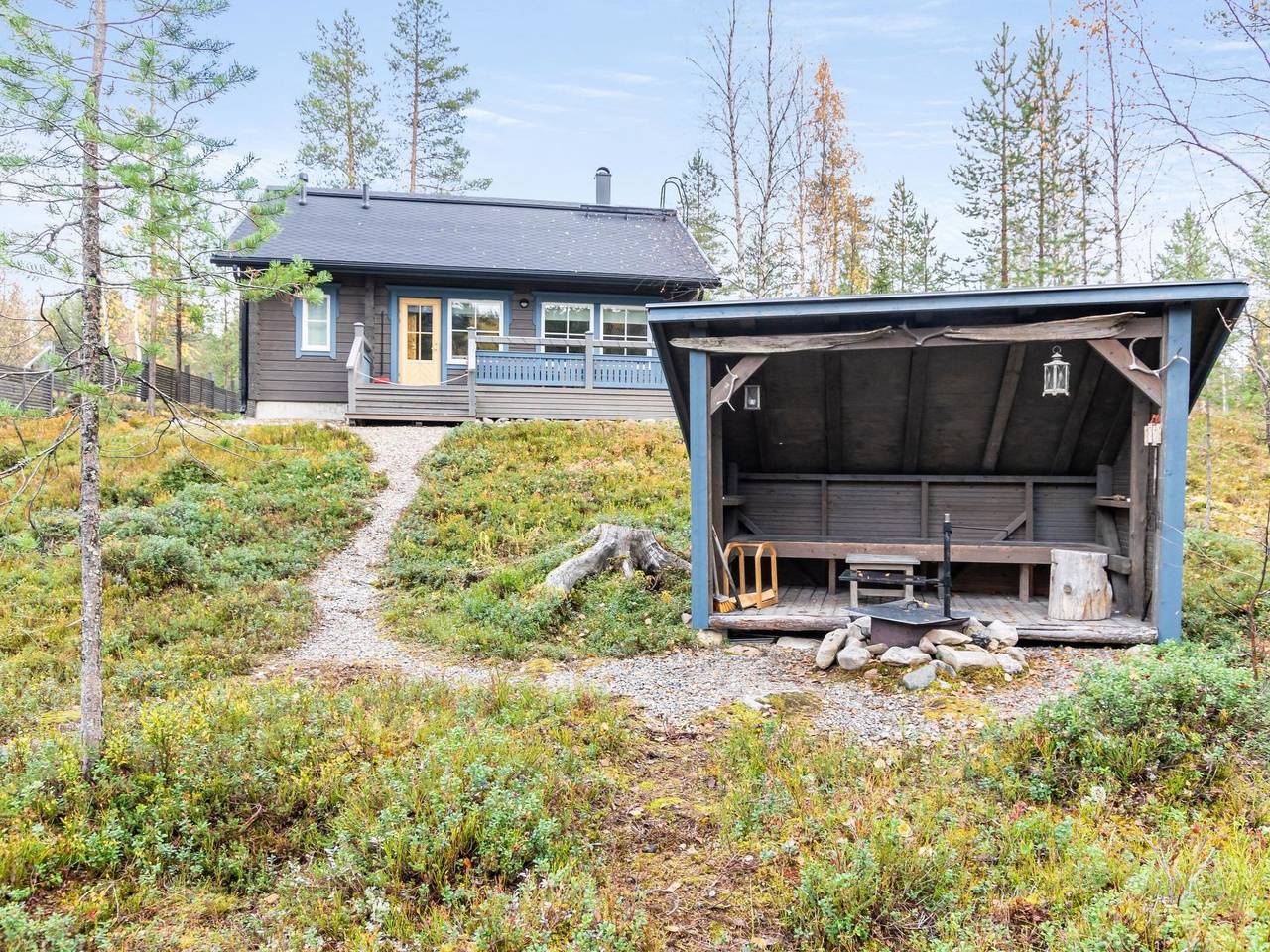 Tunturikettu in Pyhä, Lappland