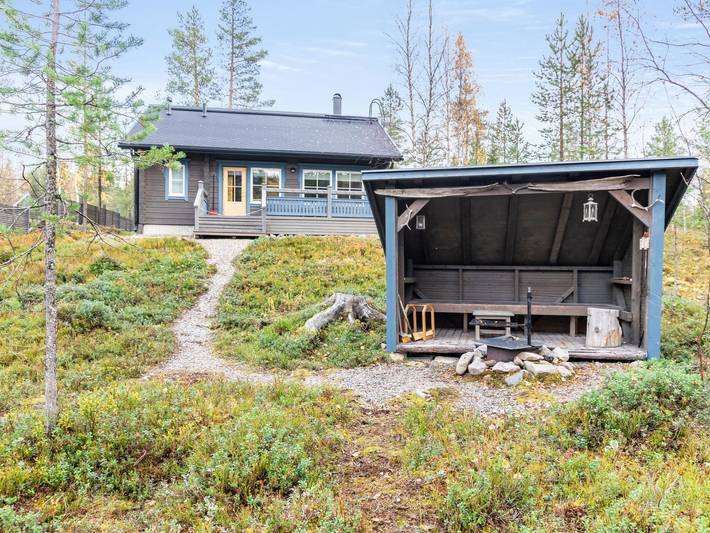 Tunturikettu in Pyhä, Lappland