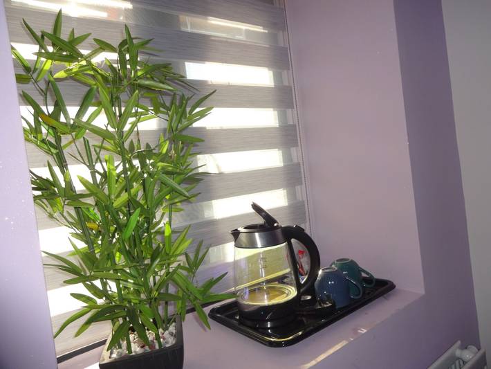 Chambre d’hôte pour 2 personnes, animaux acceptés en Angleterre - 2