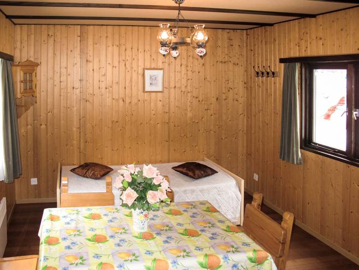 Edelweiss in Saas-Balen, Wallisian Alps
