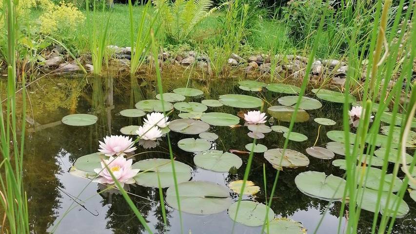 Ferienwohnung für 2 Personen, mit Garten im Tölzer Land - 4