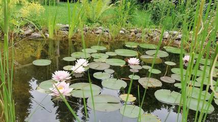 Appartement voor 4 Personen in Lenggries, Opper-Beieren, Afbeelding 3