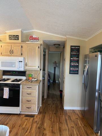 Camping für 4 Personen in Lake Havasu City, Südkalifornien, Bild 4