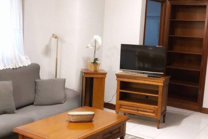 Ganze Wohnung, Ferienwohnung für 1 Person in Bilbao, Bizkaia
