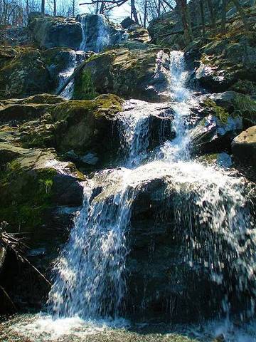 Cottage for 30 Guests in Shenandoah Valley, Virginia, Picture 3