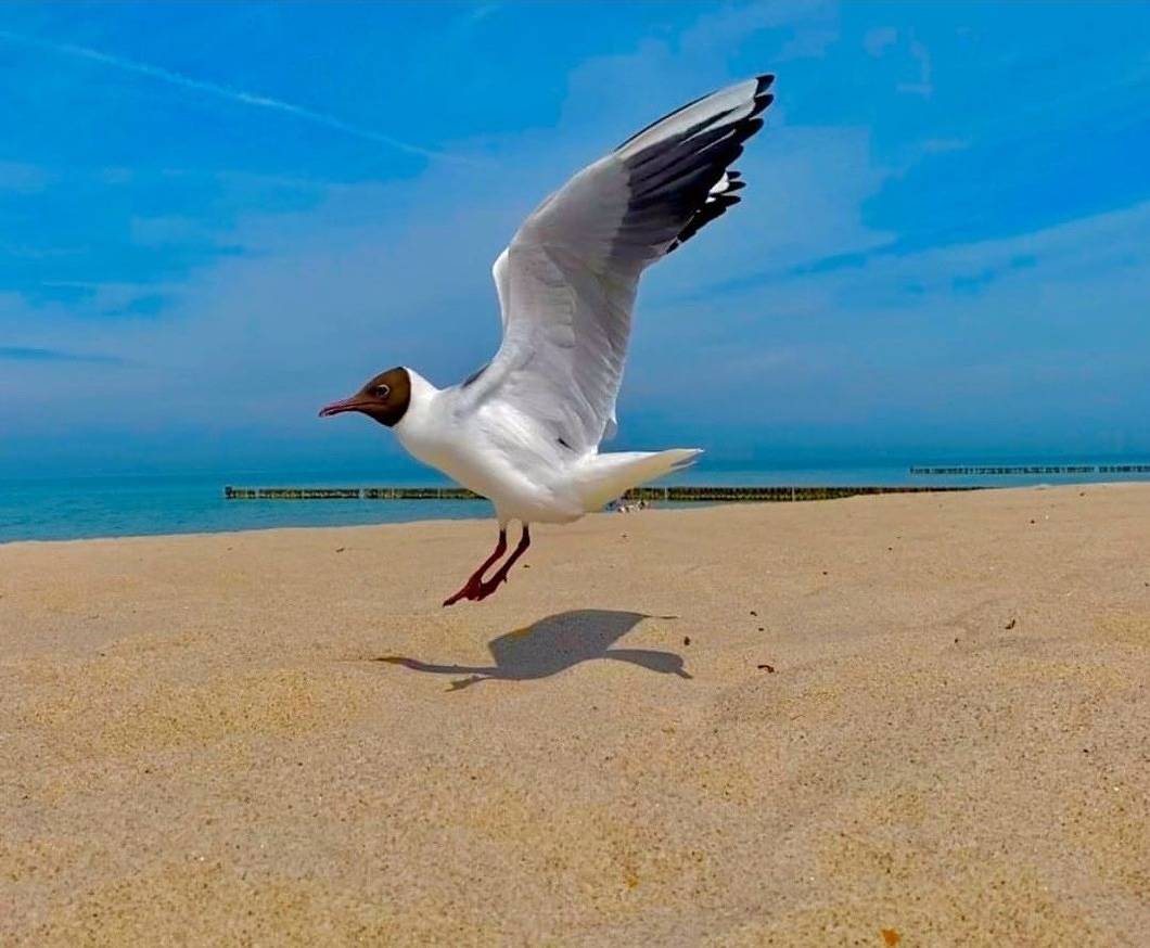 Ganze Ferienwohnung, Ferienwohnung zur Kühlung in Wittenbeck, Bad Doberan & Umland