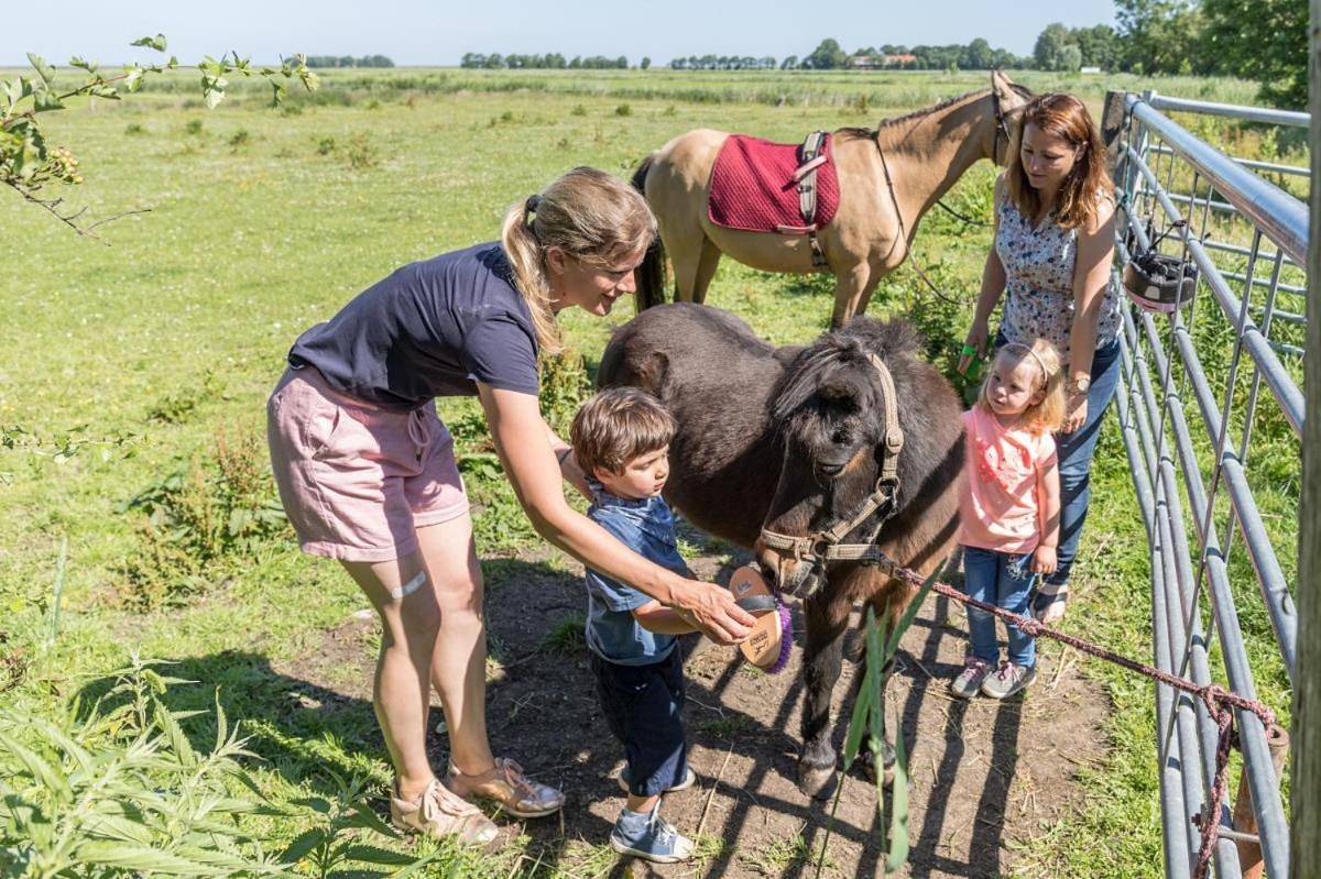 Ganze Wohnung, Friesenhof Janssen - Urlaub auf dem Bauernhof in Groß Holum, Neuharlingersiel