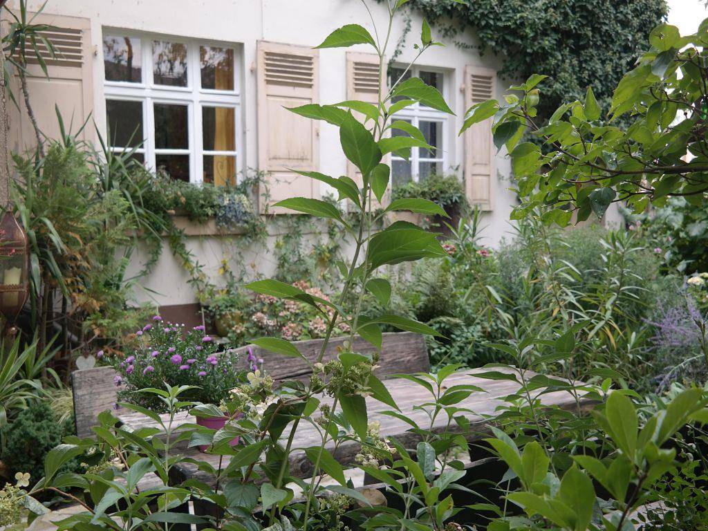 Ganze Ferienwohnung, Ferienwohnung am Birnbaum in Bad Sobernheim, Pfälzer Bergland