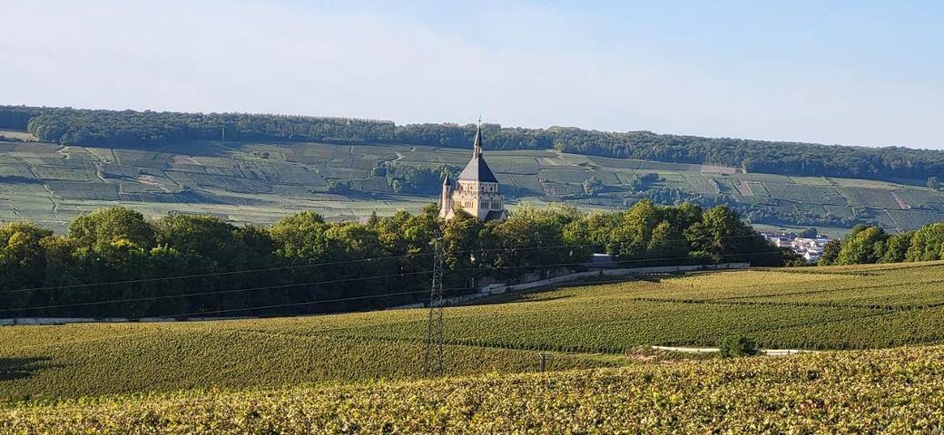 Location de vacances pour 4 personnes, avec Balcon et Jacuzzi ainsi que Terrasse et Jardin à Dormans - 3