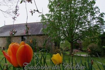 Gîte pour 2 personnes, avec jardin, animaux acceptés à Pleudihen-sur-Rance