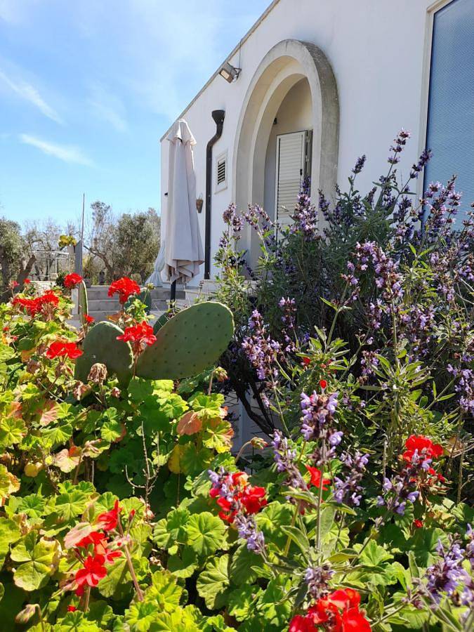 Tenuta Valle dell Idro Otranto in Uggiano la Chiesa, Provincia di Lecce