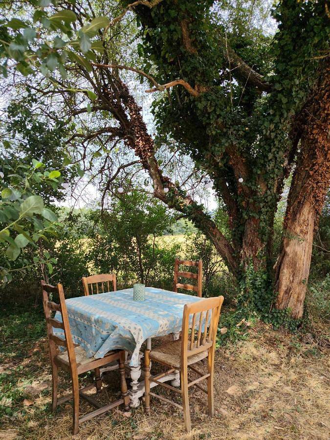 Maison de campagne pour 3 personnes, avec Terrasse et Jardin ainsi que Bassin pour enfant et Piscine à Saint-Christol - 2