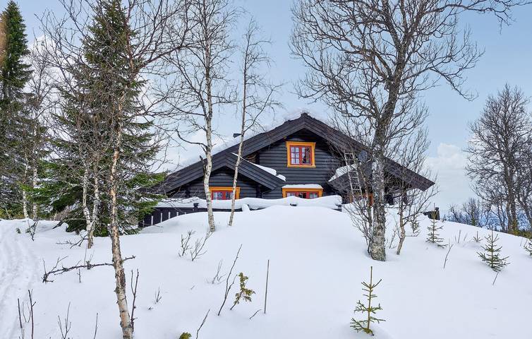 Ferienhaus für 8 Personen mit Sauna in Tydal