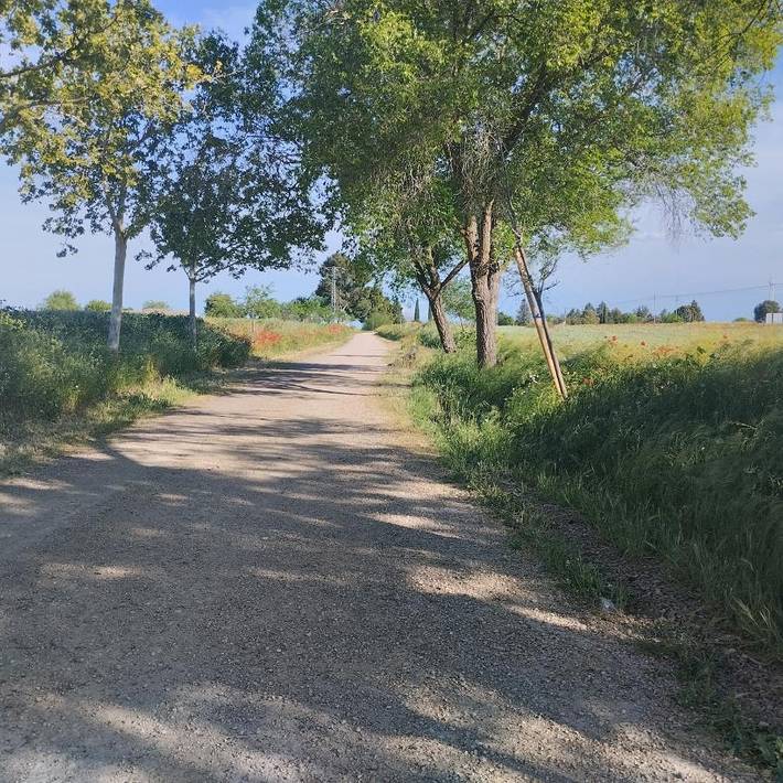 Casa rural para 8 personas, con piscina además de jardín y jacuzzi en Provincia de Ciudad Real - 4