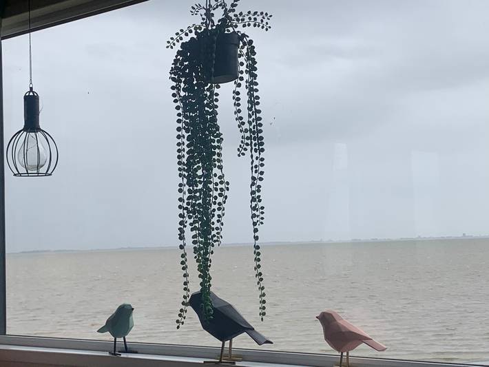 Ferienhaus für 4 Personen, mit Balkon und Terrasse sowie Garten am Ijsselmeer - 2