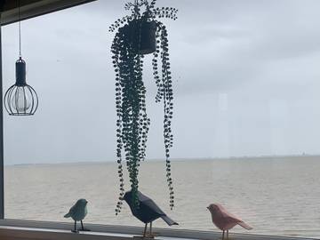 Vakantiehuis voor 4 Personen in Nederlandse kust, IJsselmeer, Afbeelding 1
