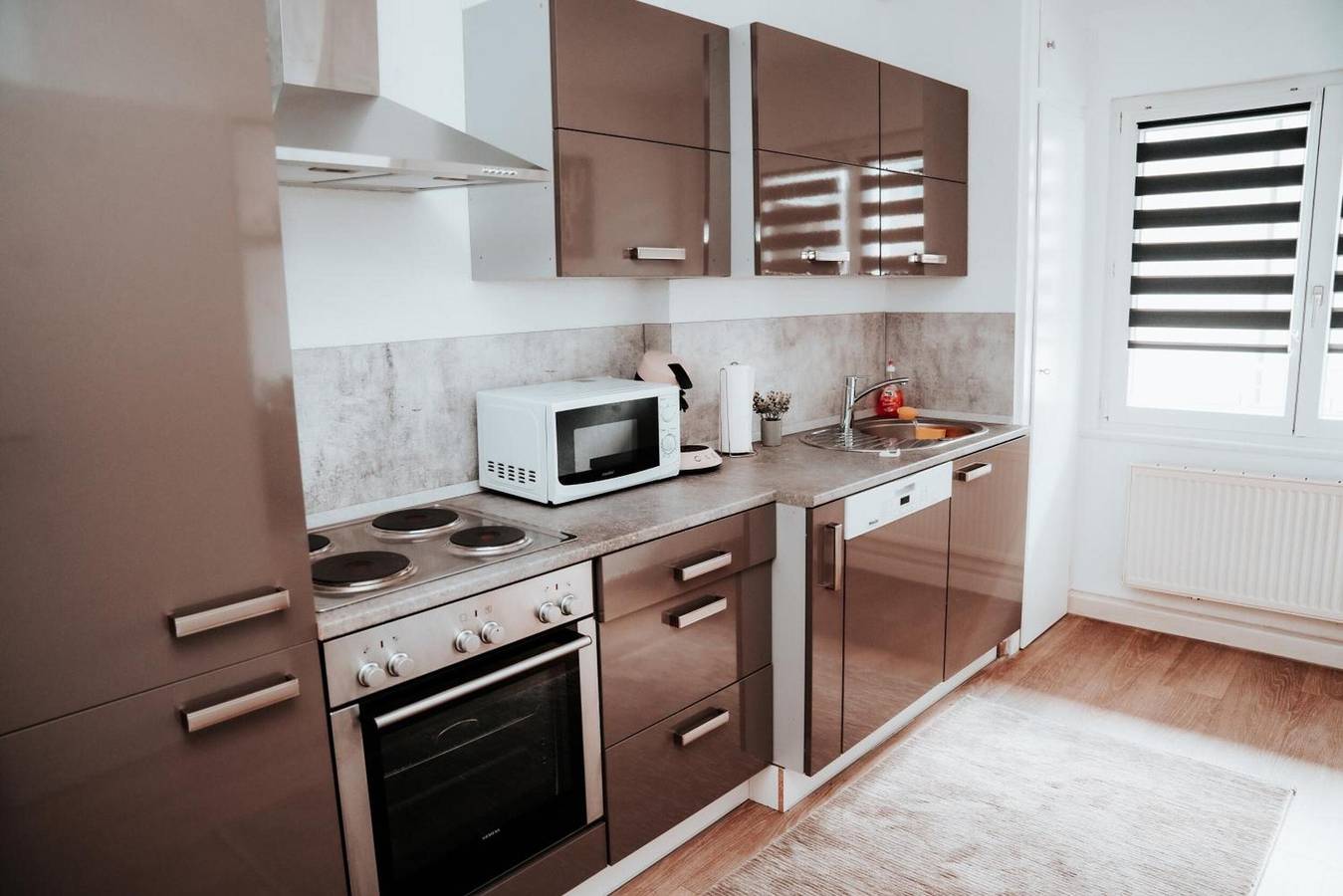 Ganze Wohnung, Apartment „Ella 1“ mit Seeblick, Balkon und Wlan in Friedrichshafen, Region Bodensee-Oberschwaben