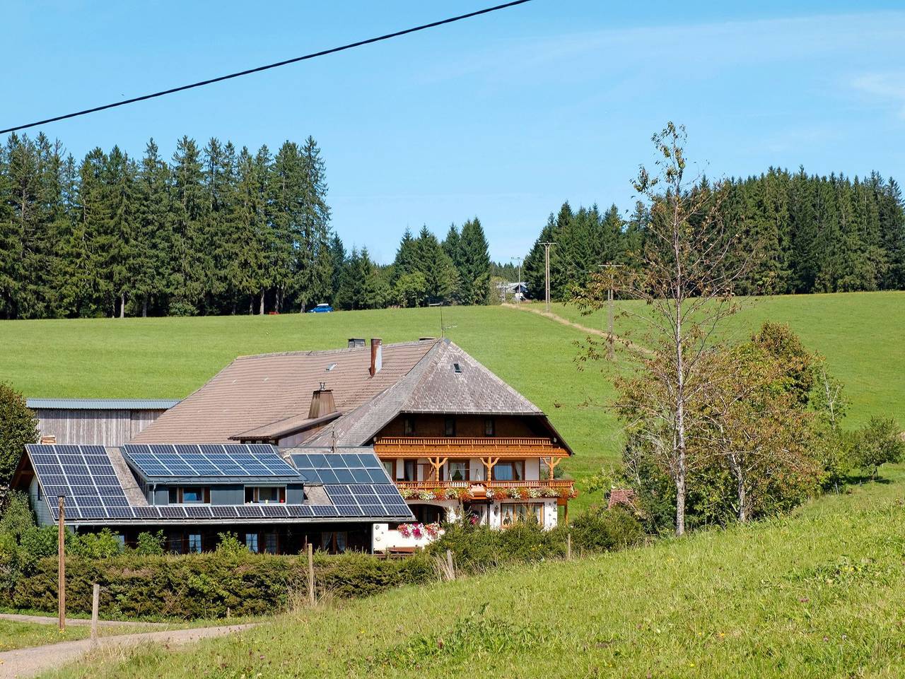 Willmannshof - Doppelzimmer mit Duschbad in Furtwangen, Südschwarzwald