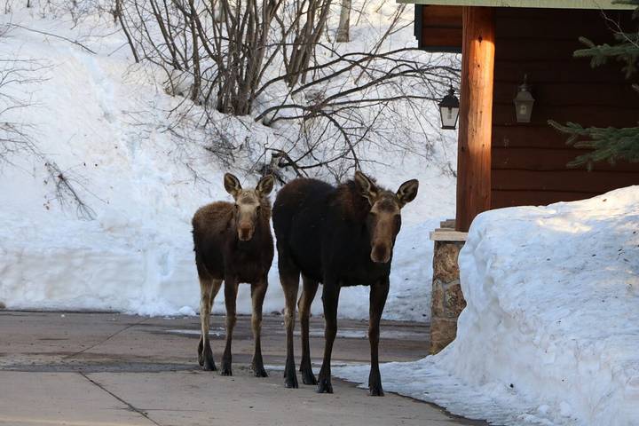 Bed and breakfasts for 4 people in Colorado