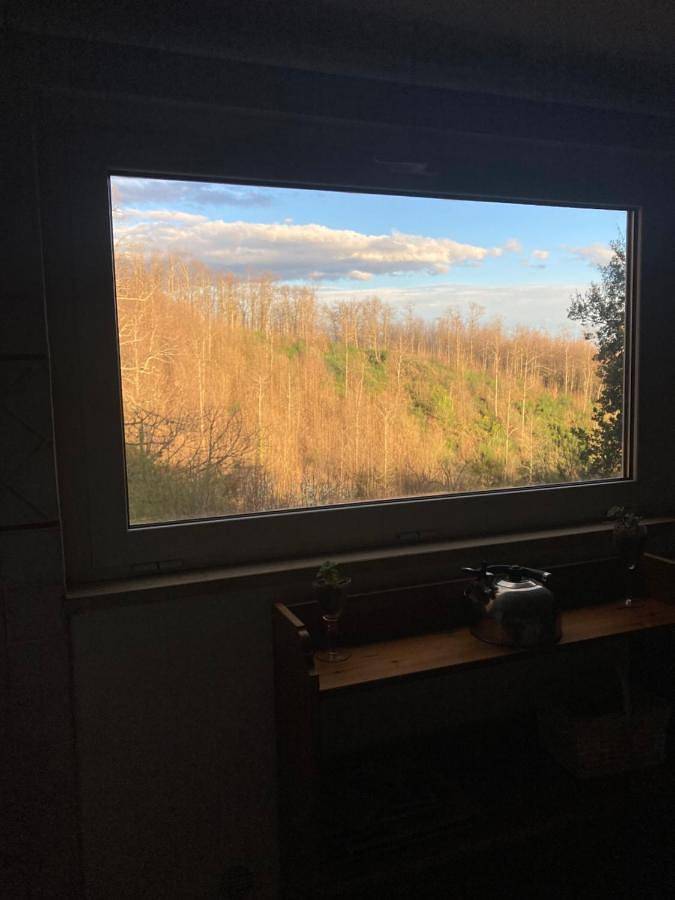 Casetta nel bosco di Valeria e Davide in Rocca Priora, Castelli Romani