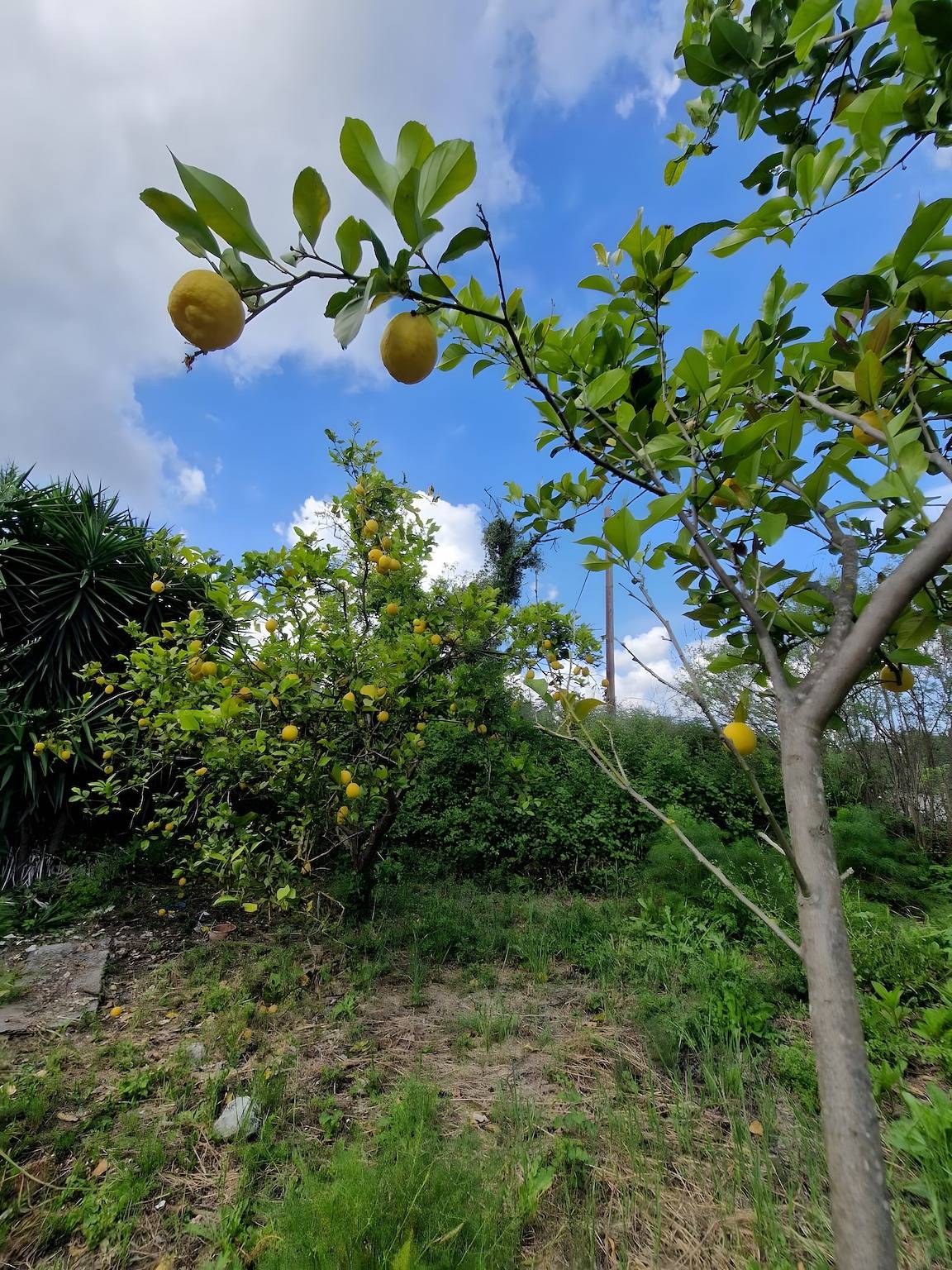 Iliana's Bungalow: Bergblick, Wlan & Klimaanlage – Gemütliches Ferienhaus in Armeni, Chania und Umgebung