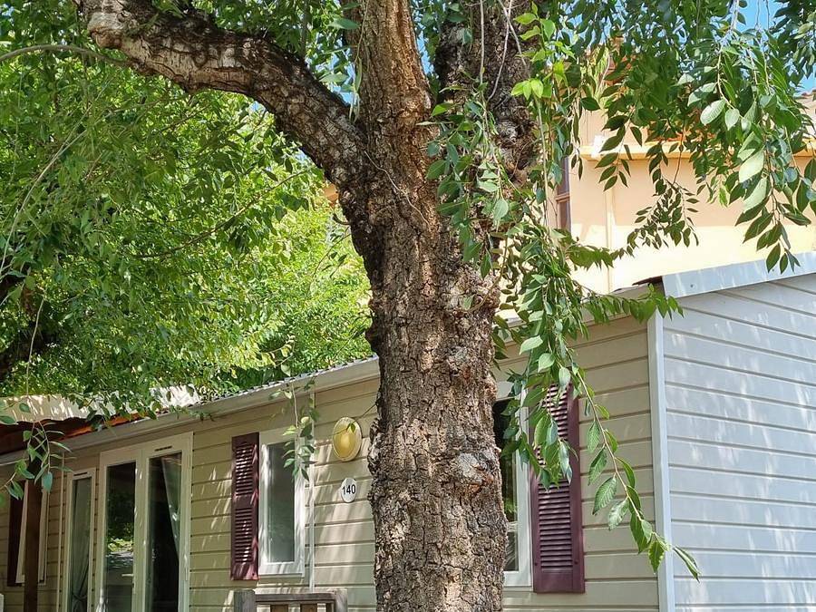 Camping Cavall de Mar - Mobilheim 6 personen - Mobilheim 3 Zimmer in Blanes, Costa Brava