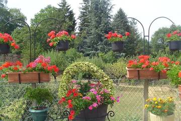 Appartement De Vacances pour 5 Personnes dans Lourdes, Hautes-Pyrénées, Photo 4