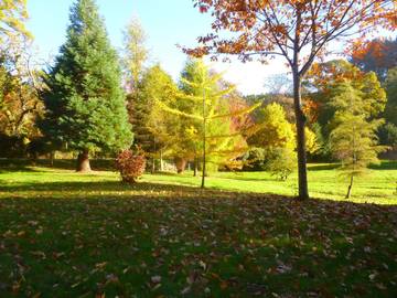 Cottage voor 4 Personen in Saint-Léger-sous-Beuvray, Natuurpark Morvan, Afbeelding 2