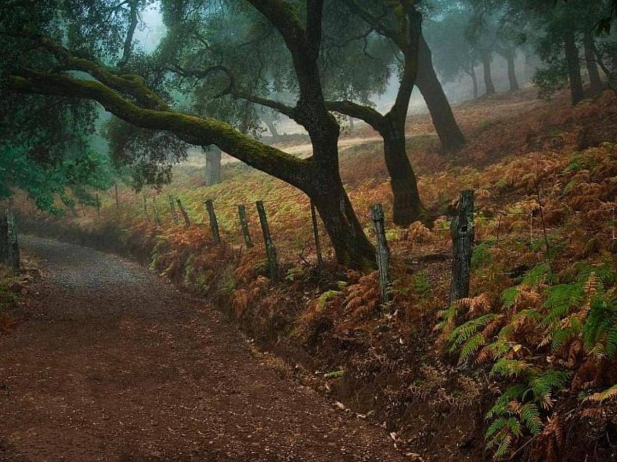 Finca Charco La Olla in La Nava, Sierra de Aracena y Picos de Aroche