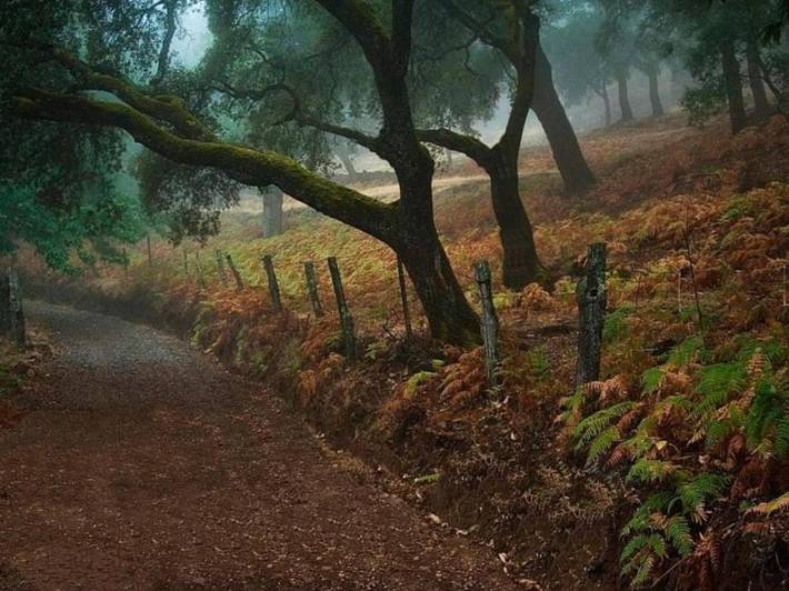 Chalet para 8 personas, con jardín además de piscina y vistas en Sierra de Aracena y Picos de Aroche - 4