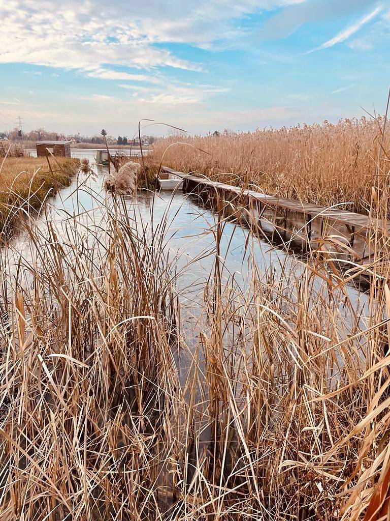 Majoshaza 20 min von Budapest direkt an der Donau in Ráckevei kistérség