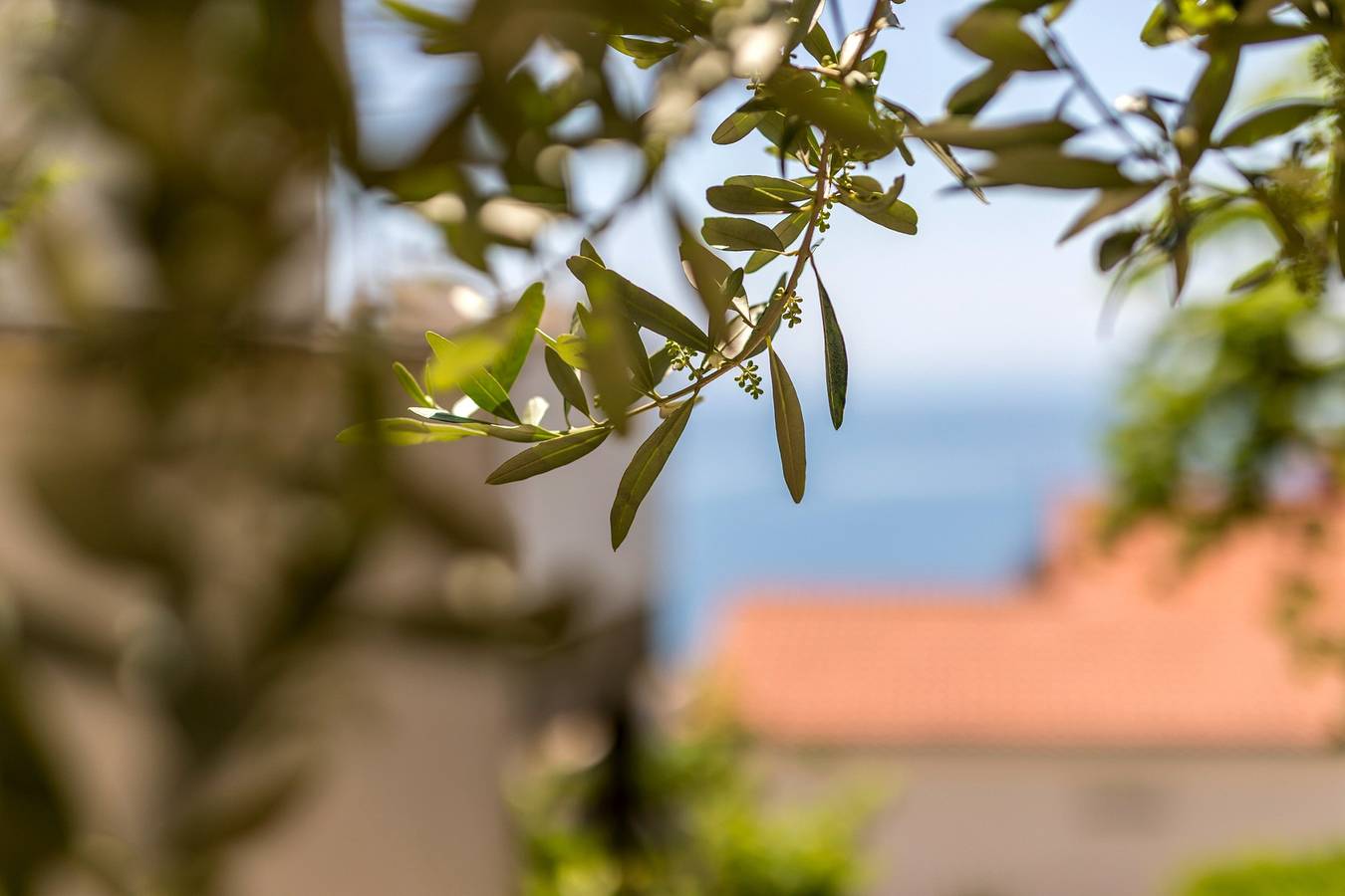 Ganze Wohnung, Studio Appartement mit Balkon und Meerblick Baska Voda, Makarska As-301-d in Baska Voda, Makarska Riviera