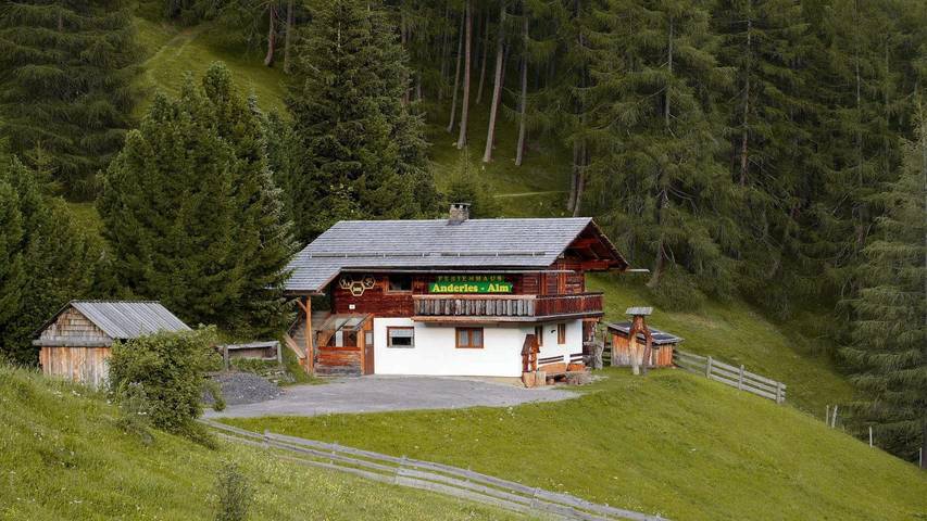 Ganze Ferienwohnung, Ferienhaus Anderles-Alm in Hohe Tauern, Heiligenblut