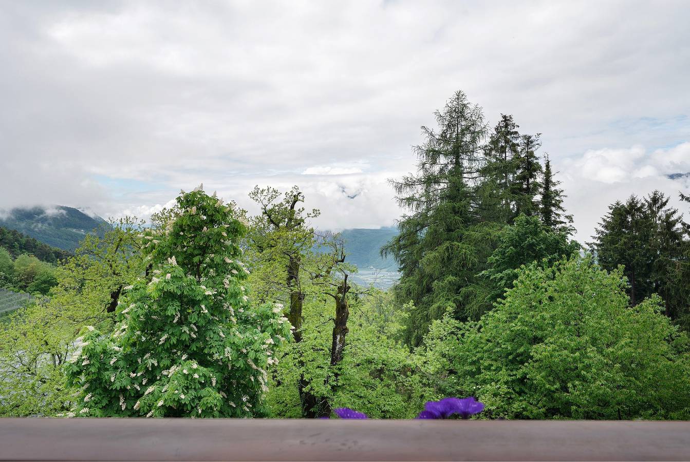 Entire apartment, Apartment 'Sonnblick' with Mountain View, Shared Garden and Wi-Fi in Leifers, Val d’Ega