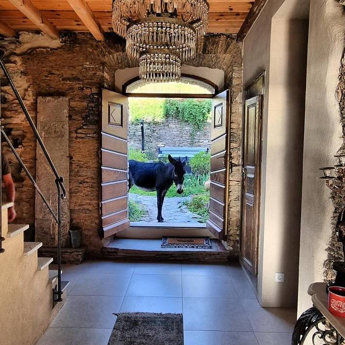 Chambre d’hôte pour 2 personnes, avec sauna et piscine ainsi que vue et jardin en Corse - 4