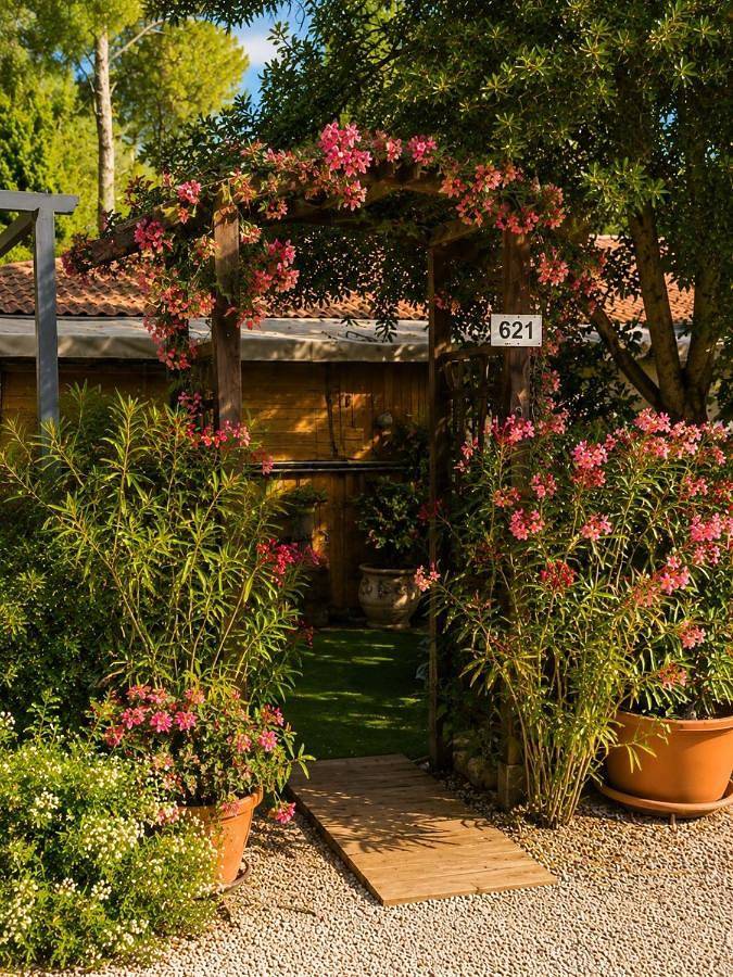 Camping pour 6 personnes, avec Terrasse ainsi que Jardin et Vue à Puget-sur-Argens - 2