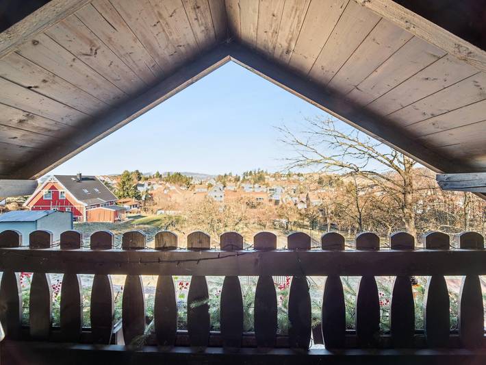 Ferienhaus für 4 Personen, mit Terrasse und Sauna sowie Garten, mit Haustier am Rennsteig - 3