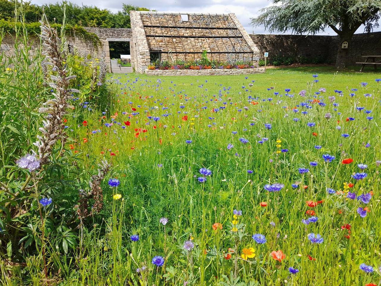 Le lavoir in Mellé (Brittany), Fougères-Vitré