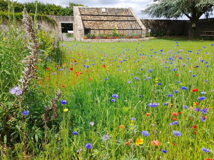 Gîte pour 4 personnes, avec jardin, animaux acceptés à Mellé (Brittany) - 3