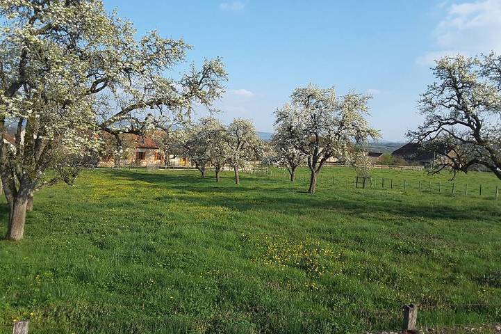Location de vacances pour 4 personnes, avec jardin et terrasse à Bonnay