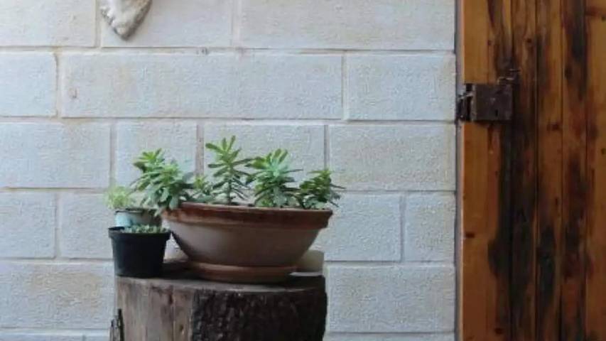 Ferienhaus für 2 Personen, mit Garten in Budva - 4