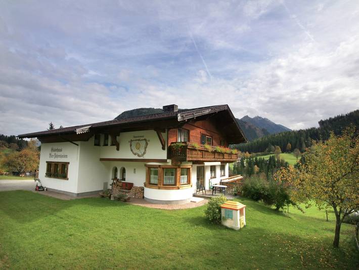 Ferienwohnung für 6 Personen, mit Balkon und Terrasse sowie Garten und Sauna in Rohrmoos