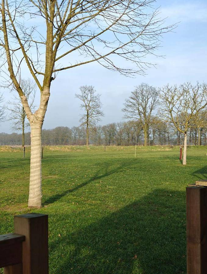 Tent in Bergeijk, Nordbrabant