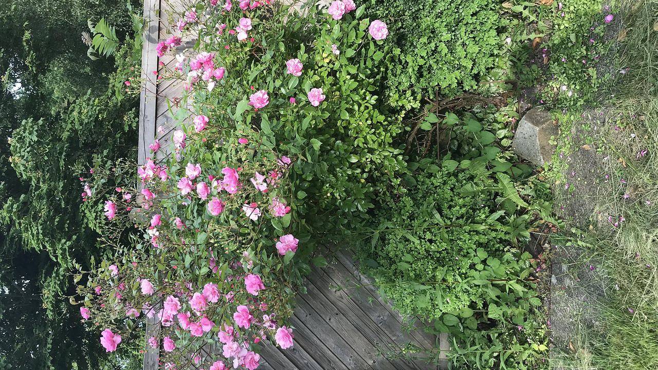 Ganze Ferienwohnung, Ferienwohnung für 8 Personen in Butjadingen-Sillens in Eckwarden, Butjadingen