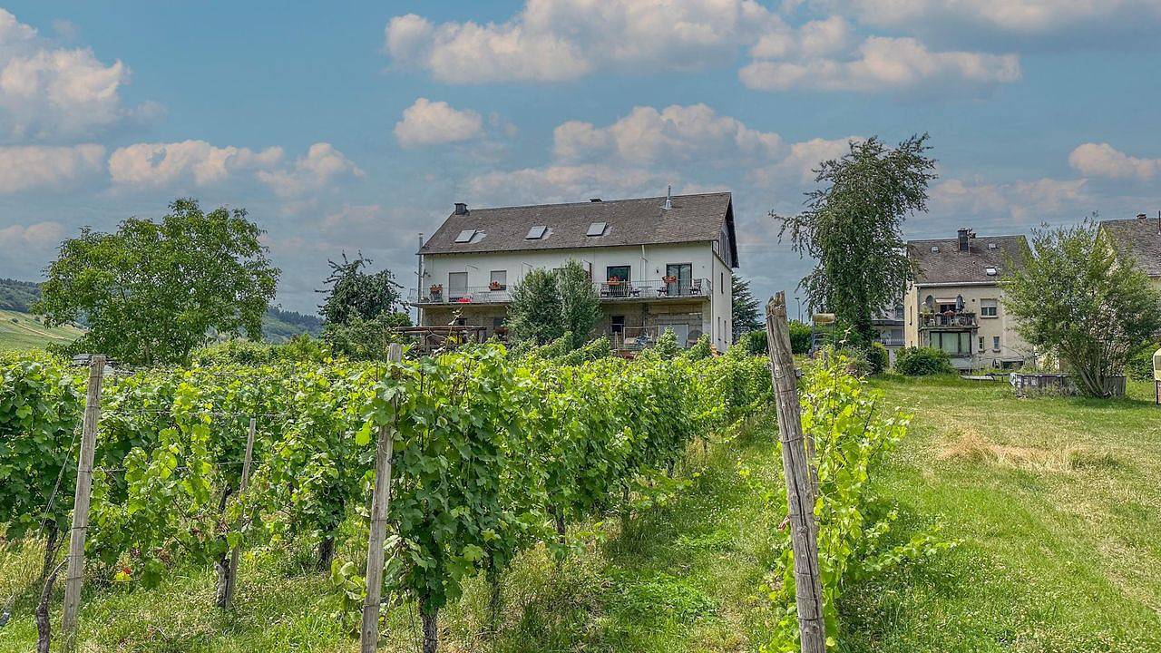 Geheel vakantieappartement, Ferienwohnung für 2 Personen (55 m²) in Trittenheim in Trittenheim, Moseleifel
