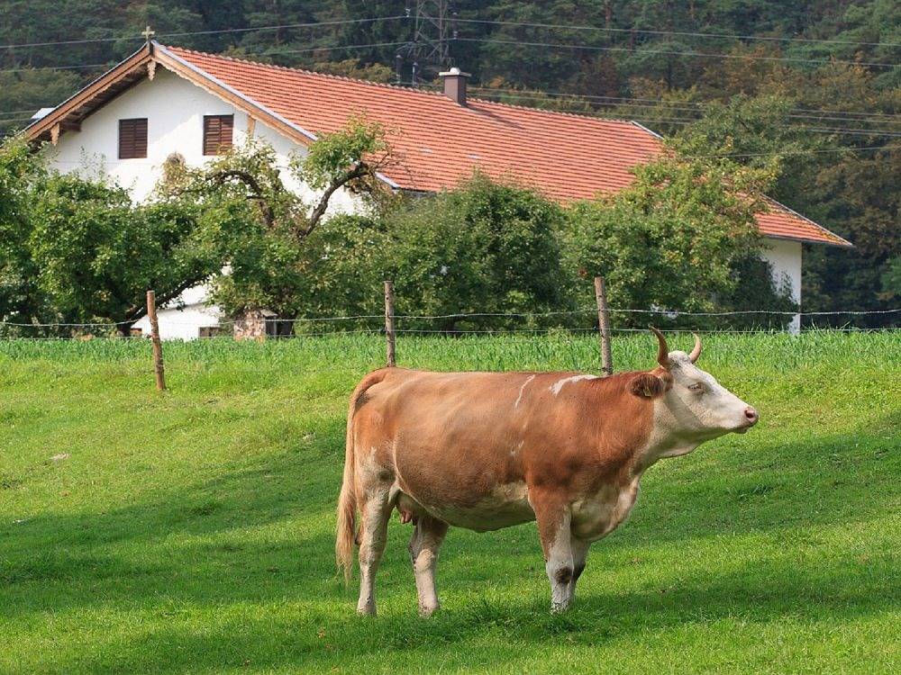 Holzhauser Hof - Lindach in Waldkraiburg, Oberbayern