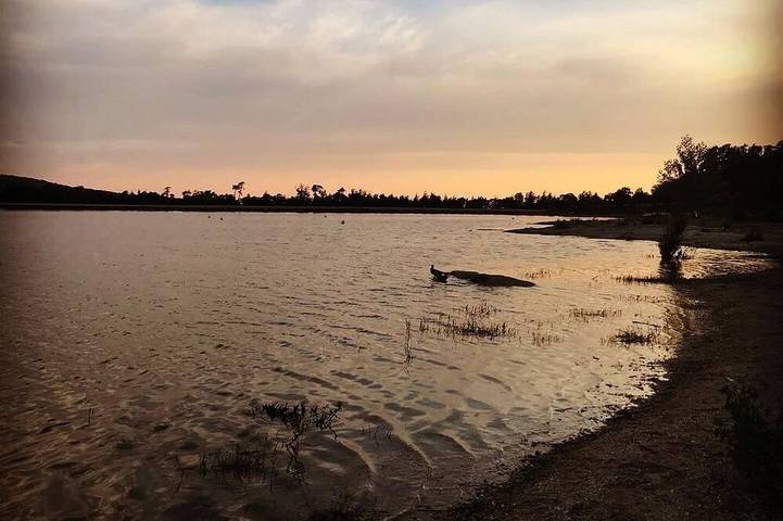 Location de vacances pour 8 personnes à Saissac