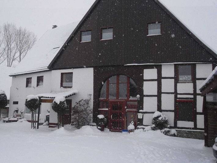 Ferienhaus für 18 Personen, mit Terrasse und Garten, mit Haustier im Teutoburger Wald - 3